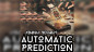 Preview: Automatic Prediction by Abhinav Bothra - Video - DOWNLOAD