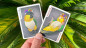 Preview: Bicycle Parrot - Pokerdeck