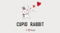 Preview: Cupid Rabbit by JT