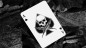 Preview: Feather & Bone: The Chrome Hearts (Foil) by Joel Meyers - Pokerdeck