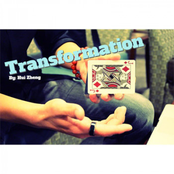 Transformation by Hui Zheng - Video - DOWNLOAD