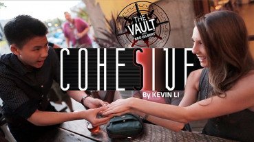 The Vault - Cohesive by Kevin Li - Video - DOWNLOAD