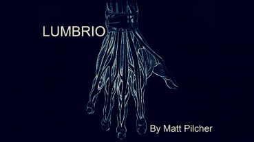 LUMBRIO by Matt Pilcher - Video - DOWNLOAD