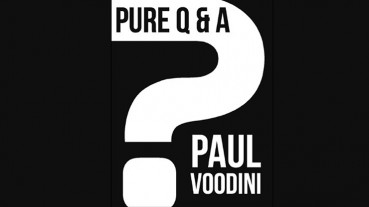 Pure Q & A by Paul Voodini - eBook - DOWNLOAD