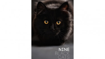 Nine Black Cats by Neema Atri - eBook - DOWNLOAD