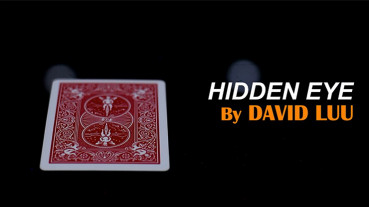 Hidden Eye by David Luu - Video - DOWNLOAD