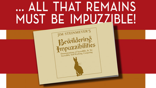 Bewildering Impuzzibilities by Jim Steinmeyer - Buch