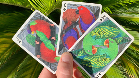 Bicycle Parrot - Pokerdeck