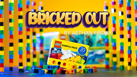 Bricked Out by Aethan Friday