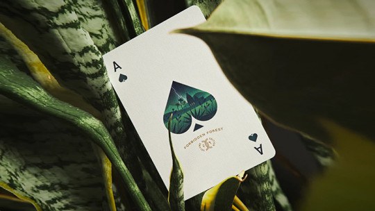 Forbidden Forest - Pokerdeck
