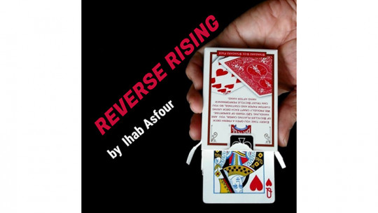 Mario Tarasini presents: Reverse Rising by Ihab Asfour - Video - DOWNLOAD