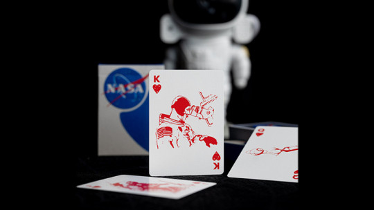 NASA Foil Meatball Logo - Pokerdeck