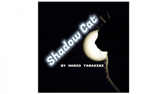 Shadow Cat by Mario Tarasini - Video - DOWNLOAD