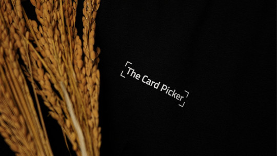 The Card Pickers T-Shirt by TCC & GBDL (Black Large)