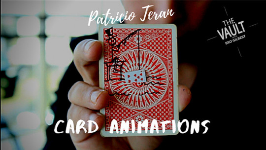 The Vault - Card Animations by Patricio Teran - Video - DOWNLOAD