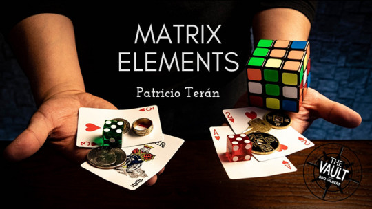 The Vault - Matrix Elements by Patricio Terán - Video - DOWNLOAD
