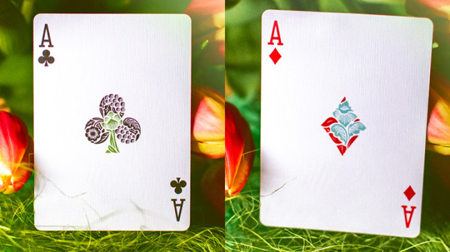 Butterfly Seasons Marked (Spring) by Ondrej Psenicka - Pokerdeck - Markiertes Kartenspiel