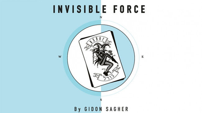 Invisible Force by Gidon Sagher - eBook - DOWNLOAD