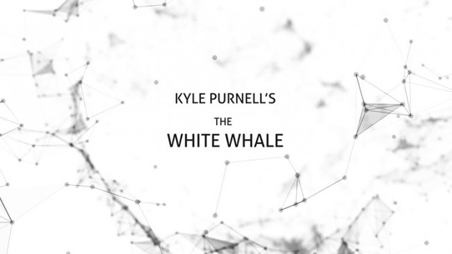 The White Whale by Kyle Purnell - Video - DOWNLOAD